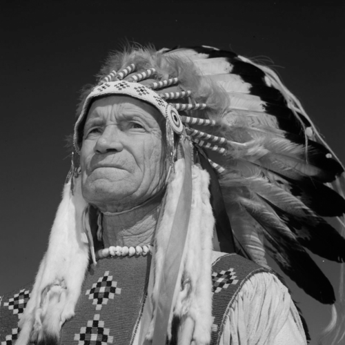 Indigenous Pioneer
