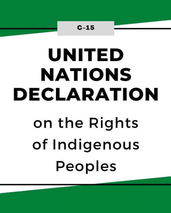 UNDRIP legislation passes into law