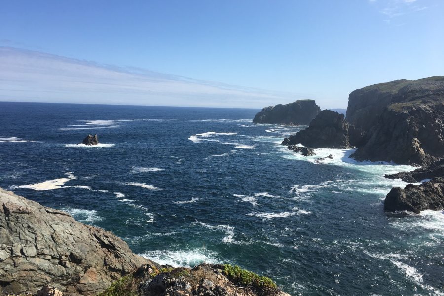 On the coast of Newfoundland and Labrador.